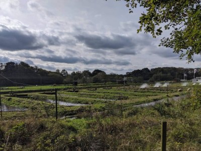 Holiday house 5 Sterne Ferienhaus in Hovborg-By Traum - Outdoor photo 27
