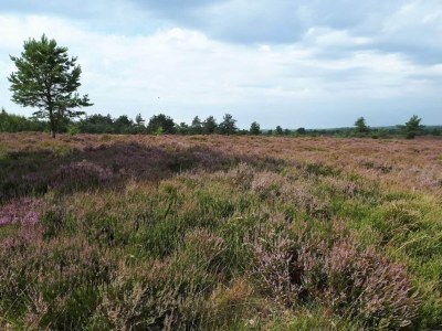 Holiday house 5 Sterne Ferienhaus in Hovborg-By Traum - Outdoor photo 36