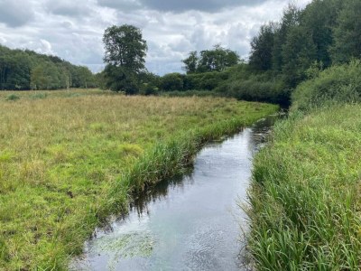 Holiday house 5 Sterne Ferienhaus in Hovborg-By Traum - Outdoor photo 39