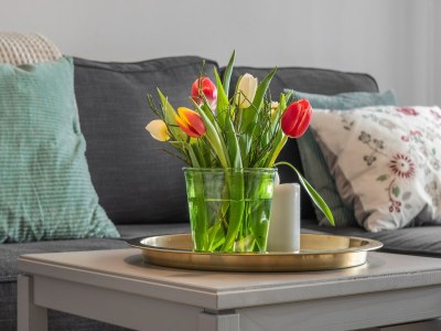 Holiday house Ferienwohnung mit Sauna in Ballenstedt - Outdoor photo 40