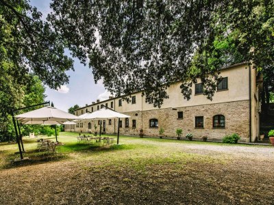 Holiday park Country House in Tuscany with Pool and Olive Grove - Outdoor photo 6