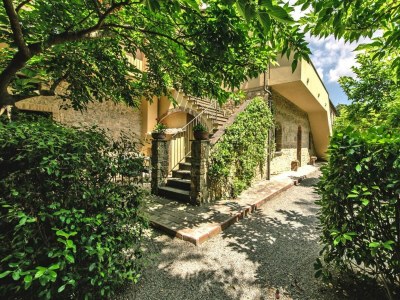 Holiday park Country House in Tuscany with Pool and Olive Grove - Outdoor photo 7