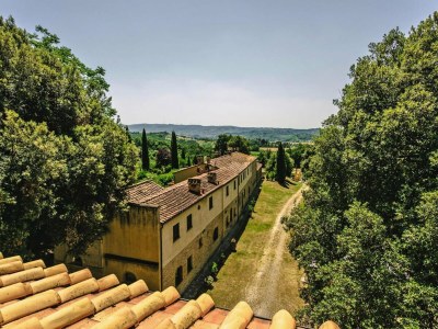 Holiday park Country House in Tuscany with Pool and Olive Grove - Outdoor photo 10