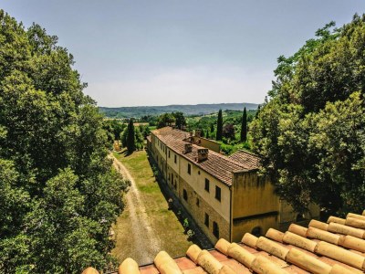 Holiday park Country House in Tuscany with Pool and Olive Grove - Outdoor photo 14