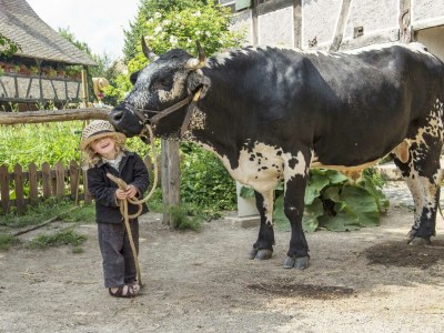 Holiday house Sous les arbres (Emilie) - Environment photo 30