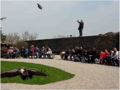 Holiday house Sous les arbres (Emilie) - Environment photo 34
