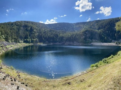 Holiday house Sous les arbres (Emilie) - Environment photo 36