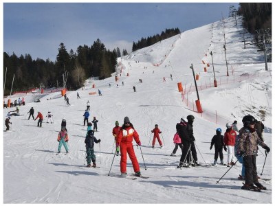 Holiday house Sous les arbres (Emilie) - Environment photo 37