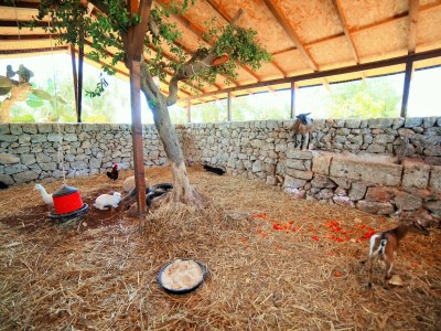 bio farm No title - Outdoor photo 11