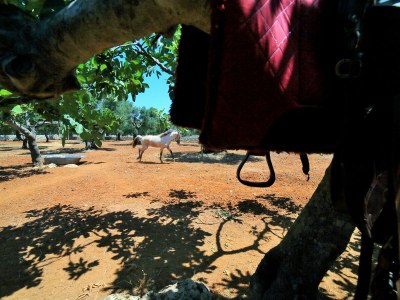 bio farm No title - Outdoor photo 12