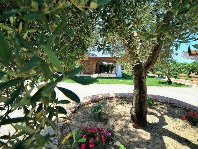 bio farm No title - Outdoor photo 16