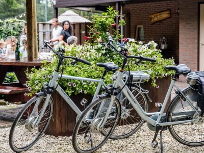 Bungalow Koolmees - Environment photo 13