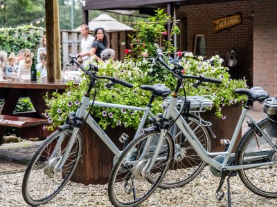 Bungalow Specht - Environment photo 11