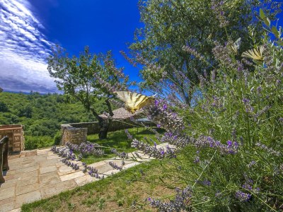 Holiday house Villa Natura II - Outdoor photo 13