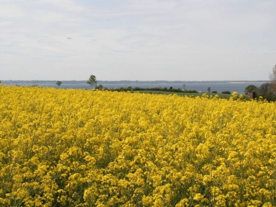 Holiday house Strandlounge II - Environment photo 20