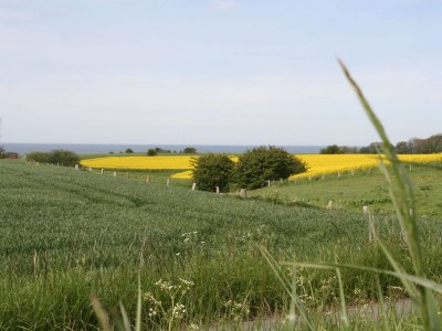 Holiday house Strandlounge II - Environment photo 21