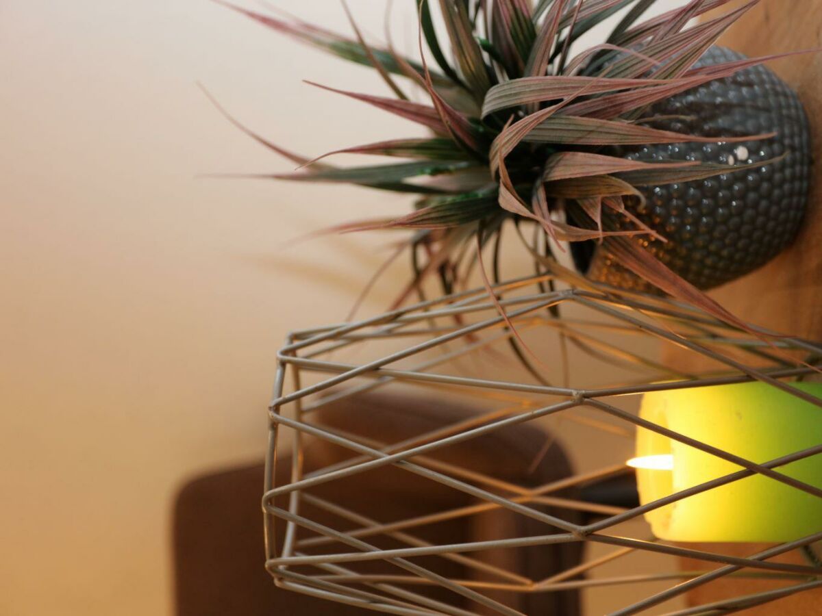 Apartment Appartement 2-4 Personen