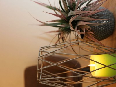 Apartment Appartement 2-4 Personen - Outdoor photo 2