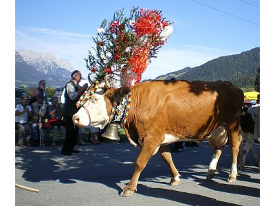 Holiday apartment Top 3 - Environment photo 15