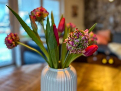 Holiday house Ruhig gelegenes Haus in Bruchhausen mit Terrasse - Outdoor photo 26