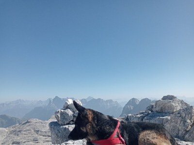 Holiday house Dolomites trentino - Environment photo 17