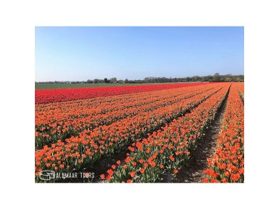 B&B Villa B&B Bovenkarspel - Environment photo 11