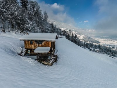 Apartment Waldhütte Wachterhof Sommer - Features photo 33