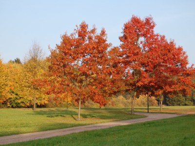 Holiday apartment Ferienwohnung Metropolregion Hamburg - Environment photo 21