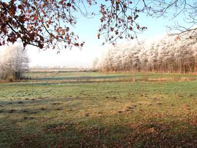 Holiday apartment Ferienwohnung Metropolregion Hamburg - Environment photo 22