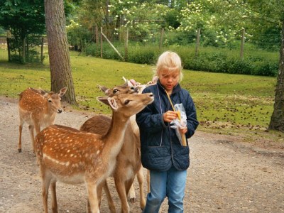 Holiday apartment Ferienwohnung Metropolregion Hamburg - Environment photo 25