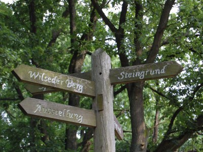 Holiday apartment Ferienwohnung Metropolregion Hamburg - Environment photo 26