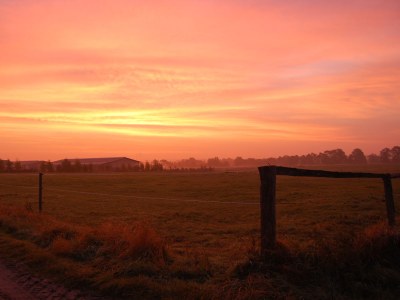Holiday apartment Ferienwohnung Metropolregion Hamburg - Environment photo 27