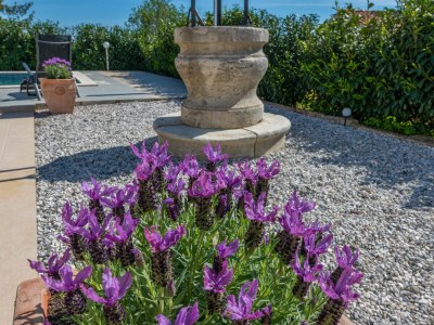 Villa Villa Irena - Outdoor photo 14