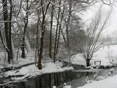 Apartment Geräumiges Ferienhaus im Teutoburger Wald - Environment photo 18