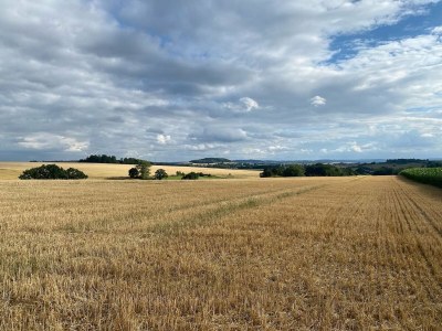 Apartment Geräumiges Ferienhaus im Teutoburger Wald - Environment photo 19