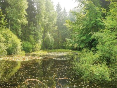 Apartment Geräumiges Ferienhaus im Teutoburger Wald - Environment photo 27