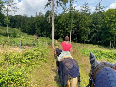 Apartment Geräumiges Ferienhaus im Teutoburger Wald - Environment photo 28