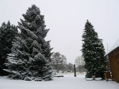 Apartment Geräumiges Ferienhaus im Teutoburger Wald - Environment photo 29