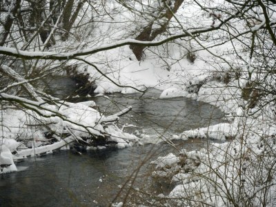 Apartment Geräumiges Ferienhaus im Teutoburger Wald - Environment photo 30