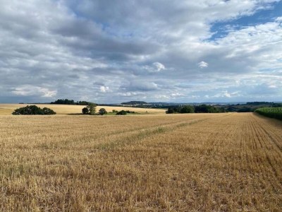 Apartment Geräumiges Ferienhaus im Teutoburger Wald - Environment photo 31
