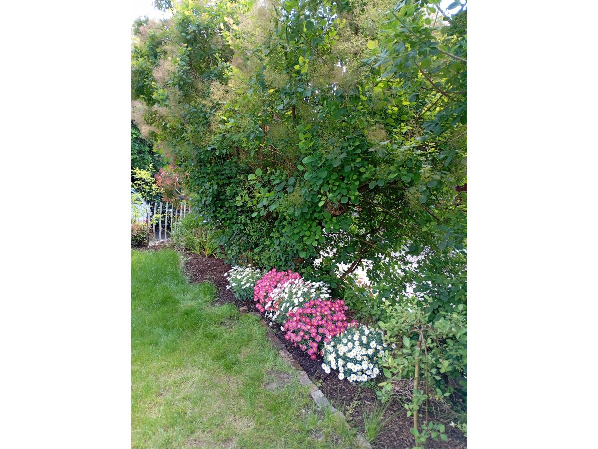 Holiday apartment Toplage Lörrach