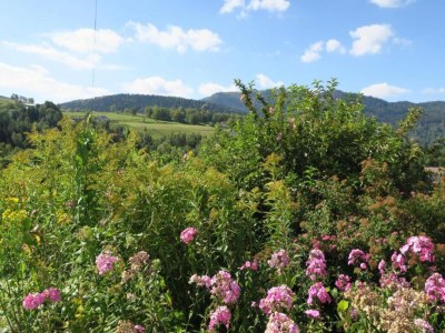 Chalet Chalet in St. Maurice am Ballon d'Alsace - Environment photo 30