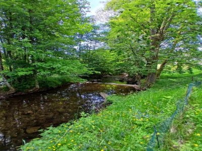 Chalet Chalet in St. Maurice am Ballon d'Alsace - Environment photo 36