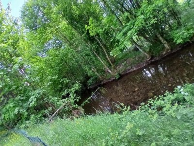 Chalet Chalet in St. Maurice am Ballon d'Alsace - Environment photo 38