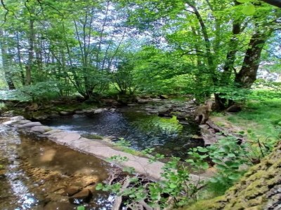 Chalet Chalet in St. Maurice am Ballon d'Alsace - Environment photo 39