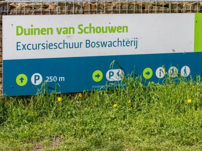 Holiday house Holiday Home in De Punt with Pool & Garden - Environment photo 30