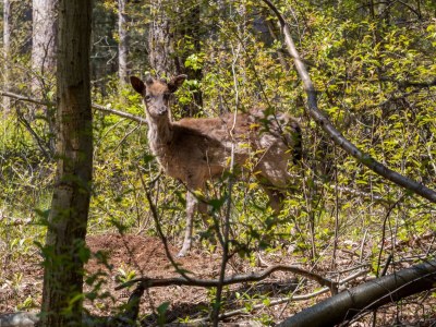 Holiday house Holiday Home in De Punt with Pool & Garden - Outdoor photo 39