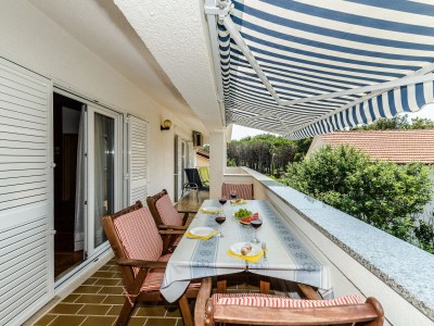 Holiday apartment Grbic 1 in Privlaka - Holiday apartment