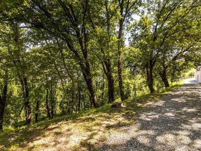 Villa Rosa dei venti - Environment photo 38