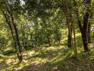 Villa Rosa dei venti - Environment photo 39